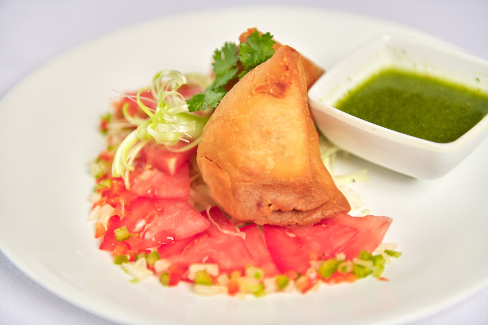 Vegetable Samosa_02